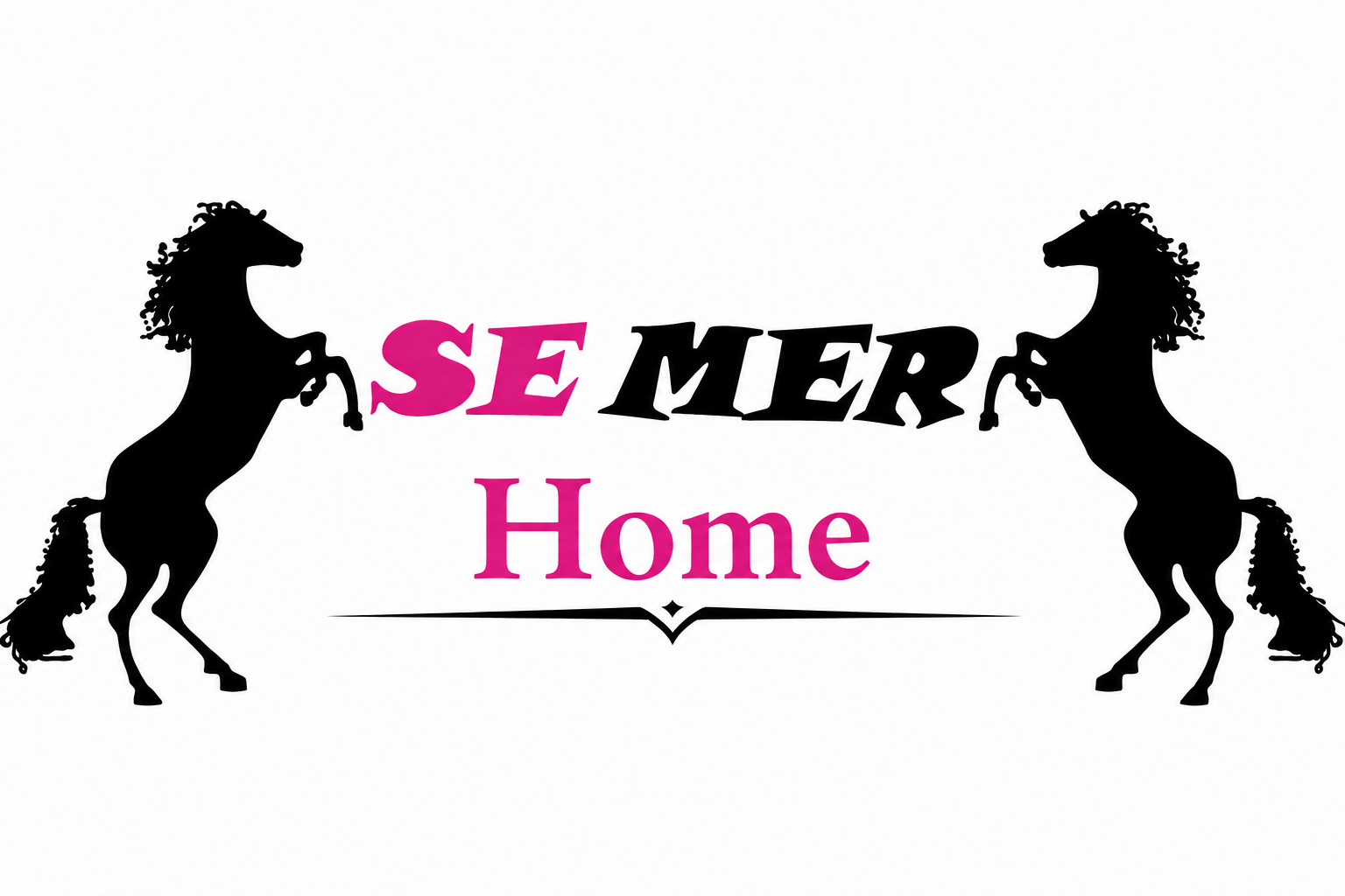 SEMER Home